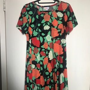 LuLaRoe NWOT floral Carly dress.